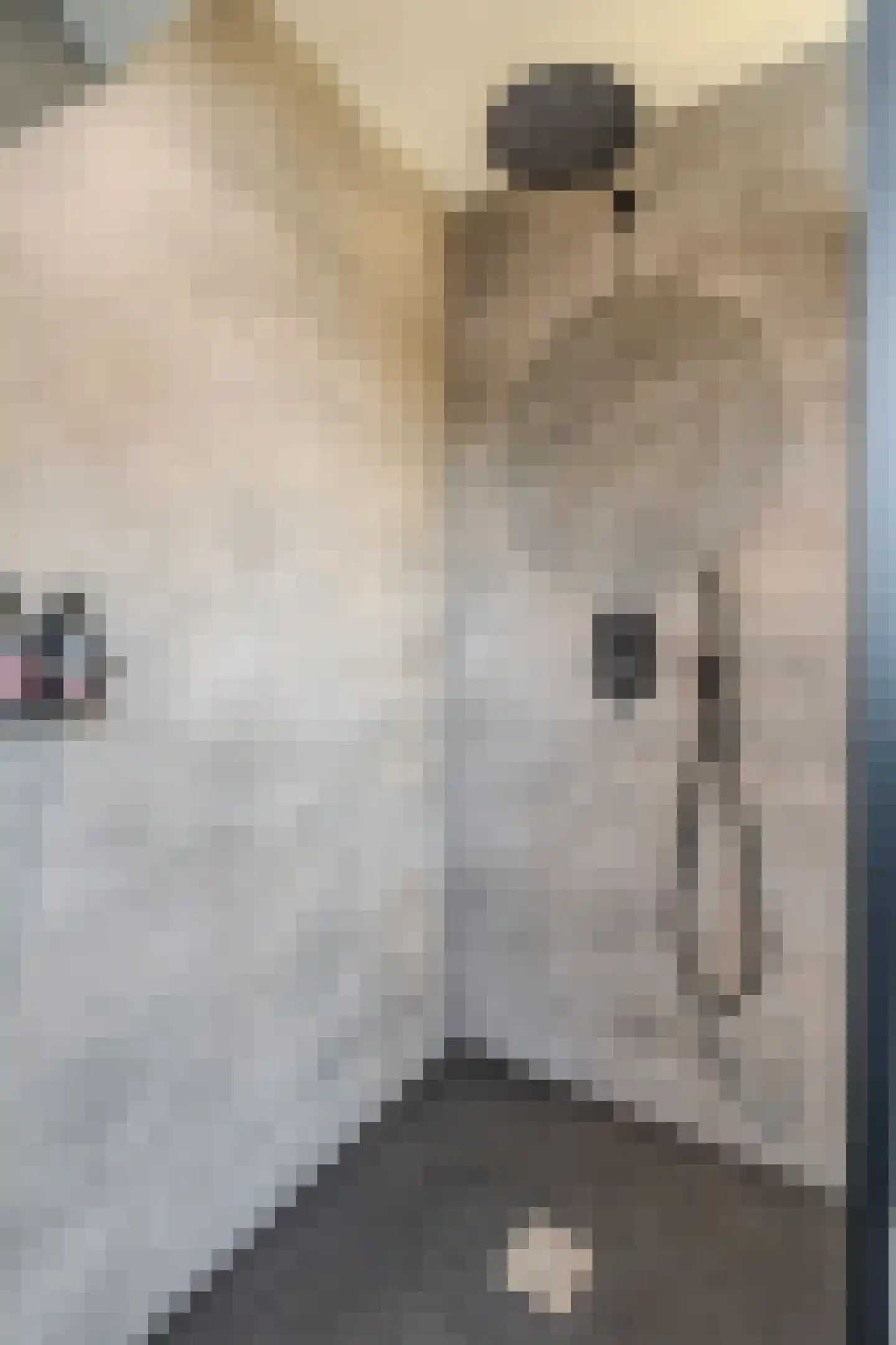 Tjabbesstreek 41 Blijham thumbnail 45