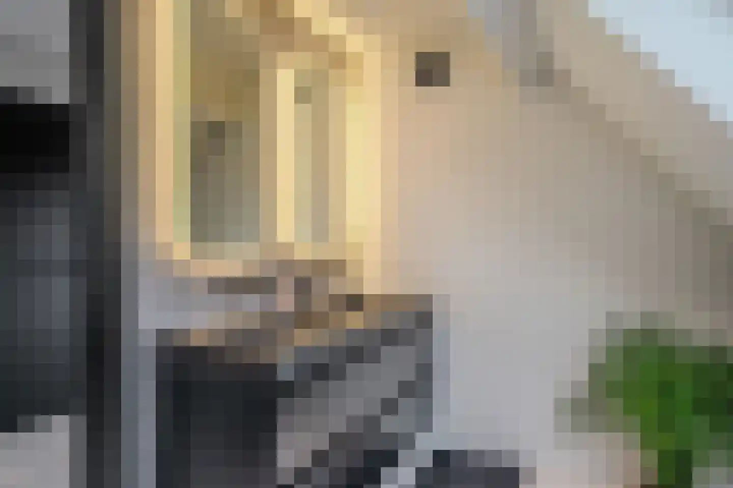 Tjabbesstreek 41 Blijham thumbnail 46