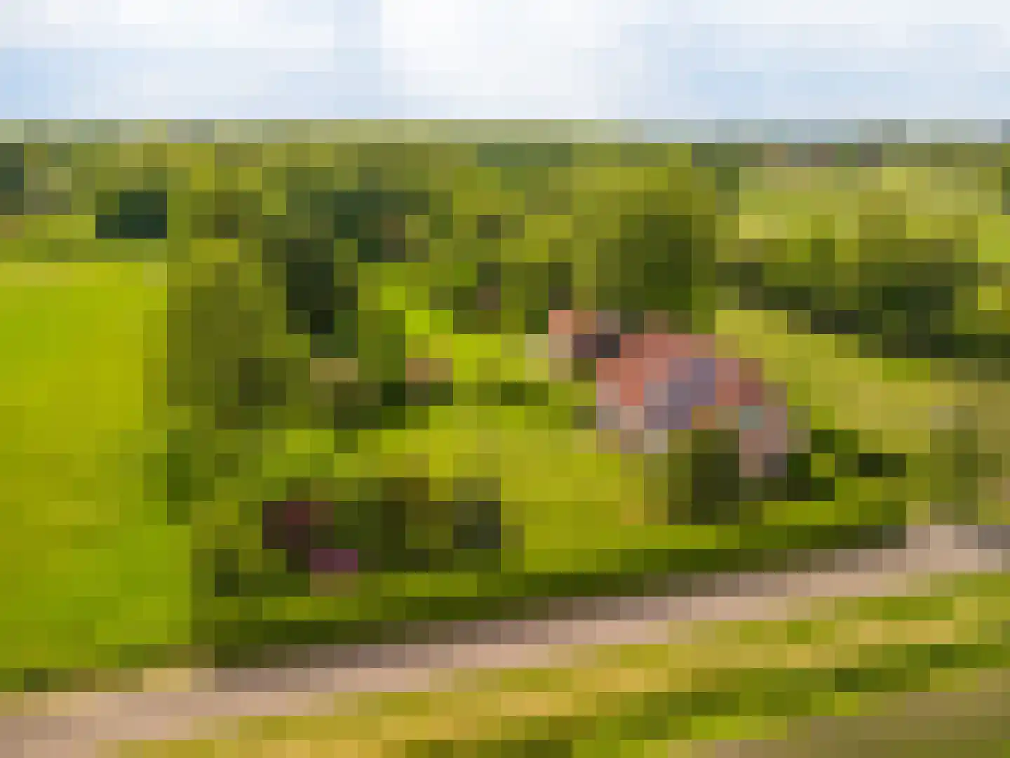 Tjabbesstreek 41 Blijham thumbnail 5