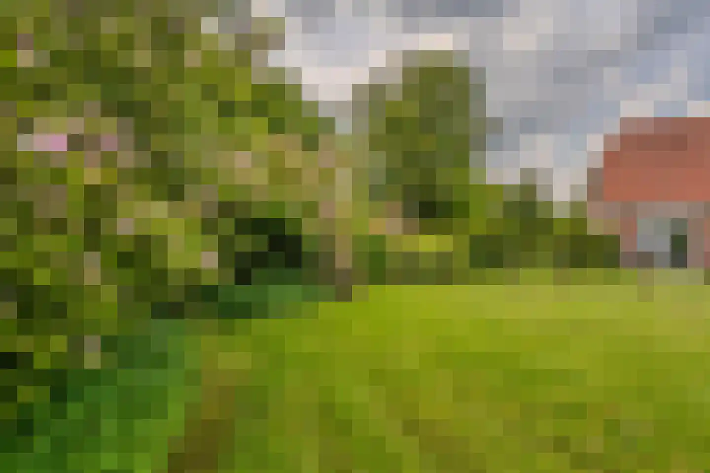 Tjabbesstreek 41 Blijham thumbnail 52