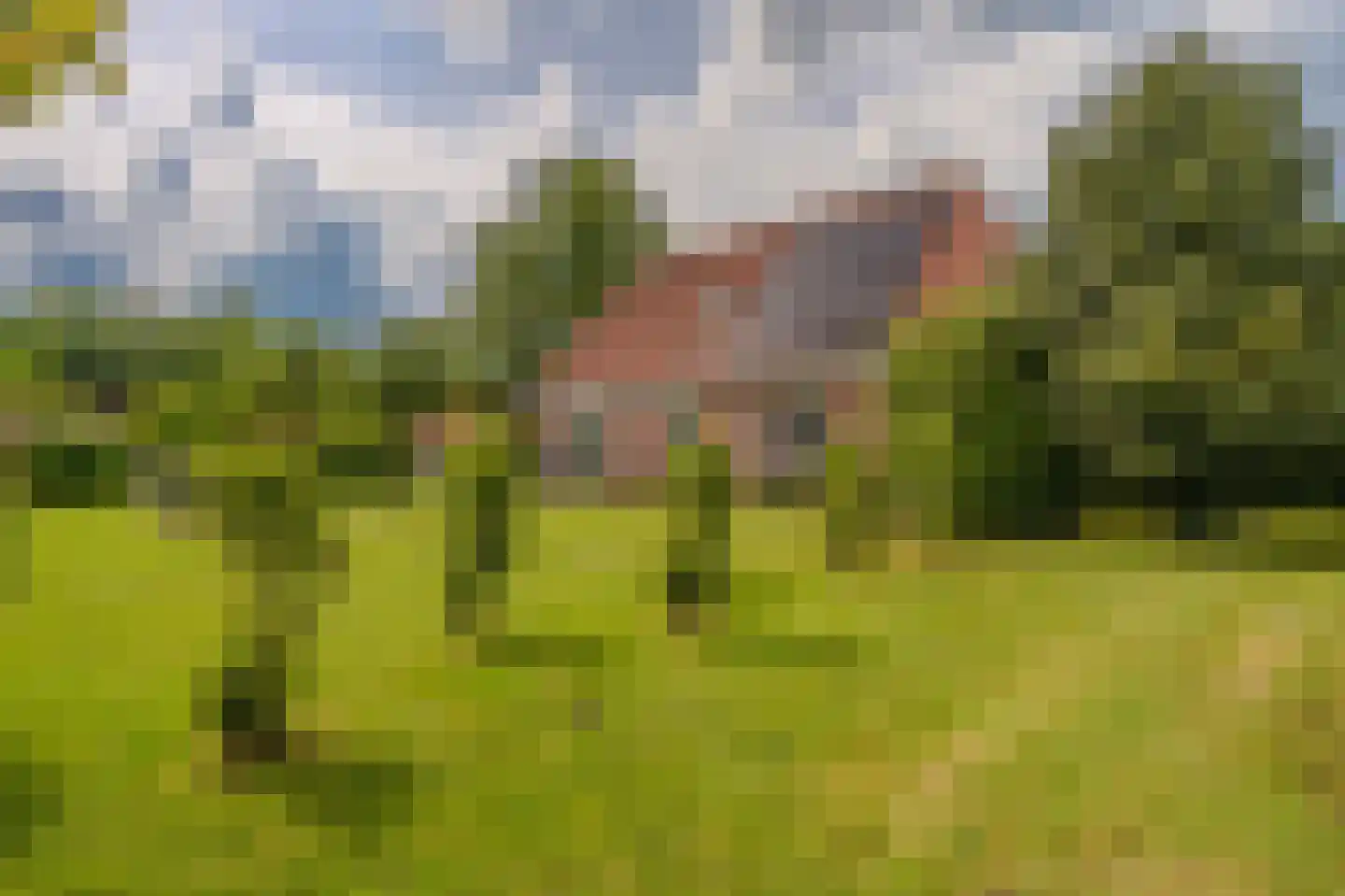Tjabbesstreek 41 Blijham thumbnail 54