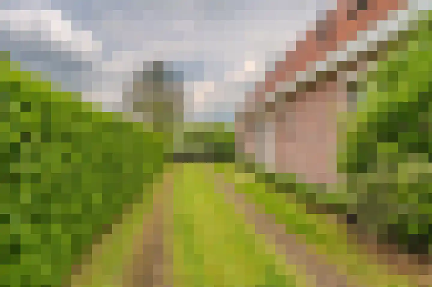 Tjabbesstreek 41 Blijham thumbnail 56