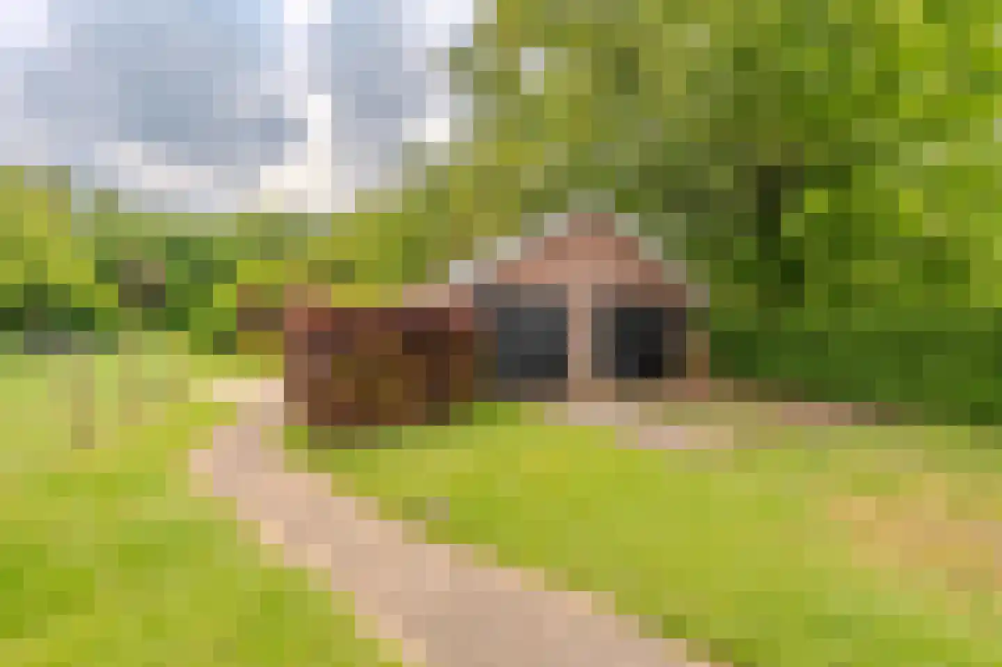 Tjabbesstreek 41 Blijham thumbnail 59