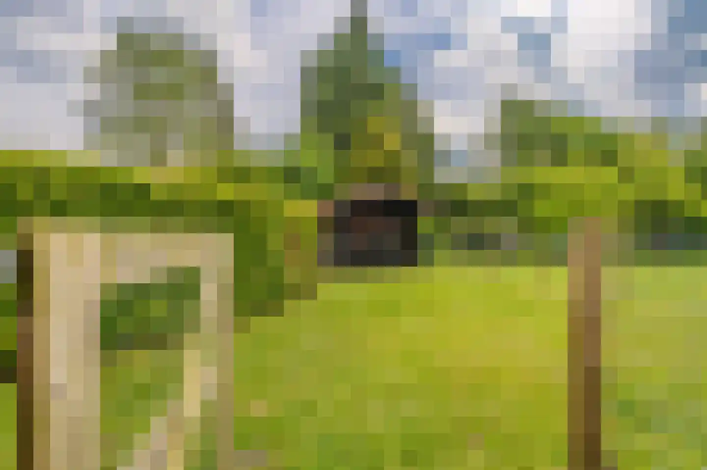 Tjabbesstreek 41 Blijham thumbnail 62