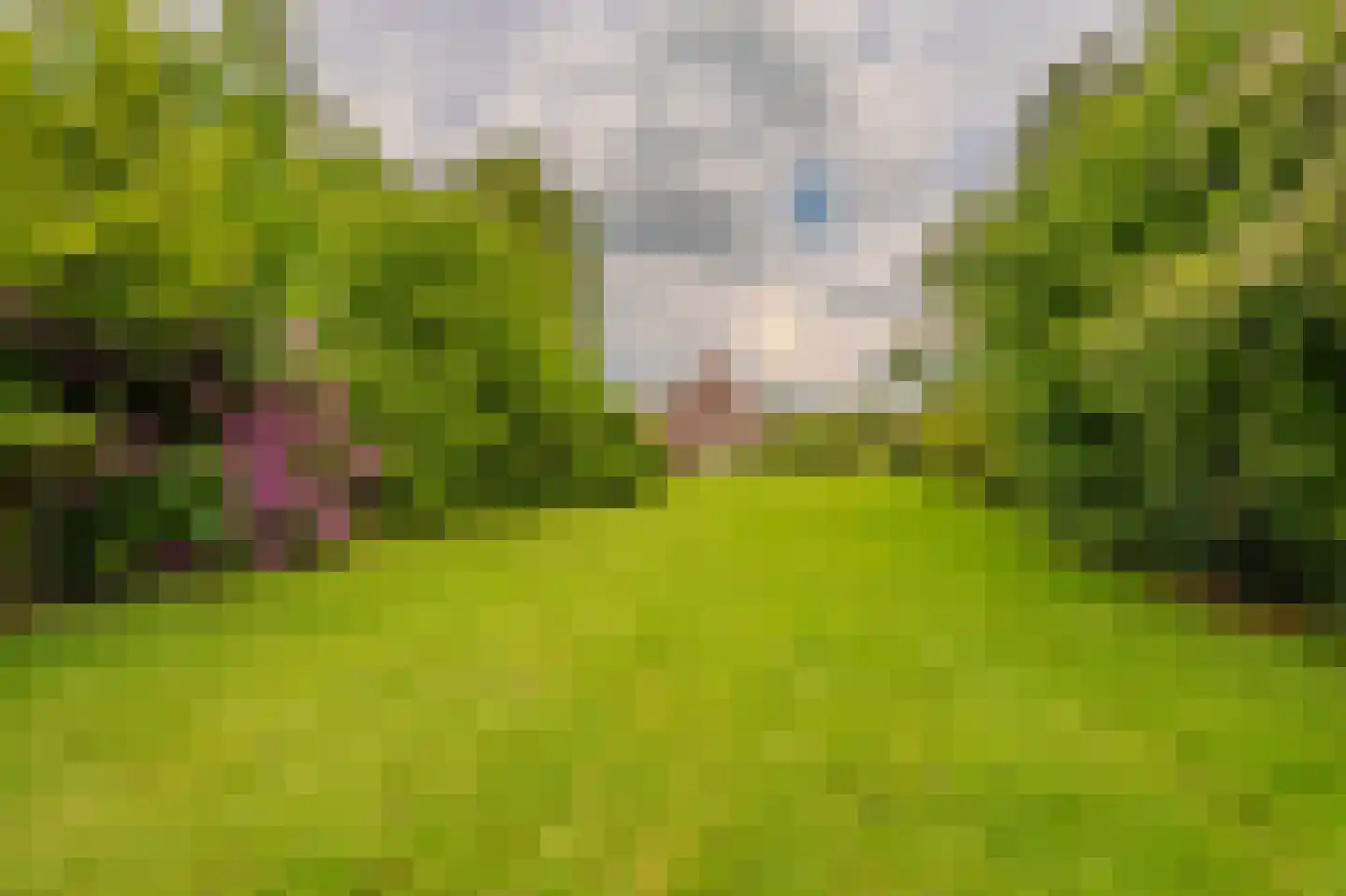 Tjabbesstreek 41 Blijham thumbnail 63