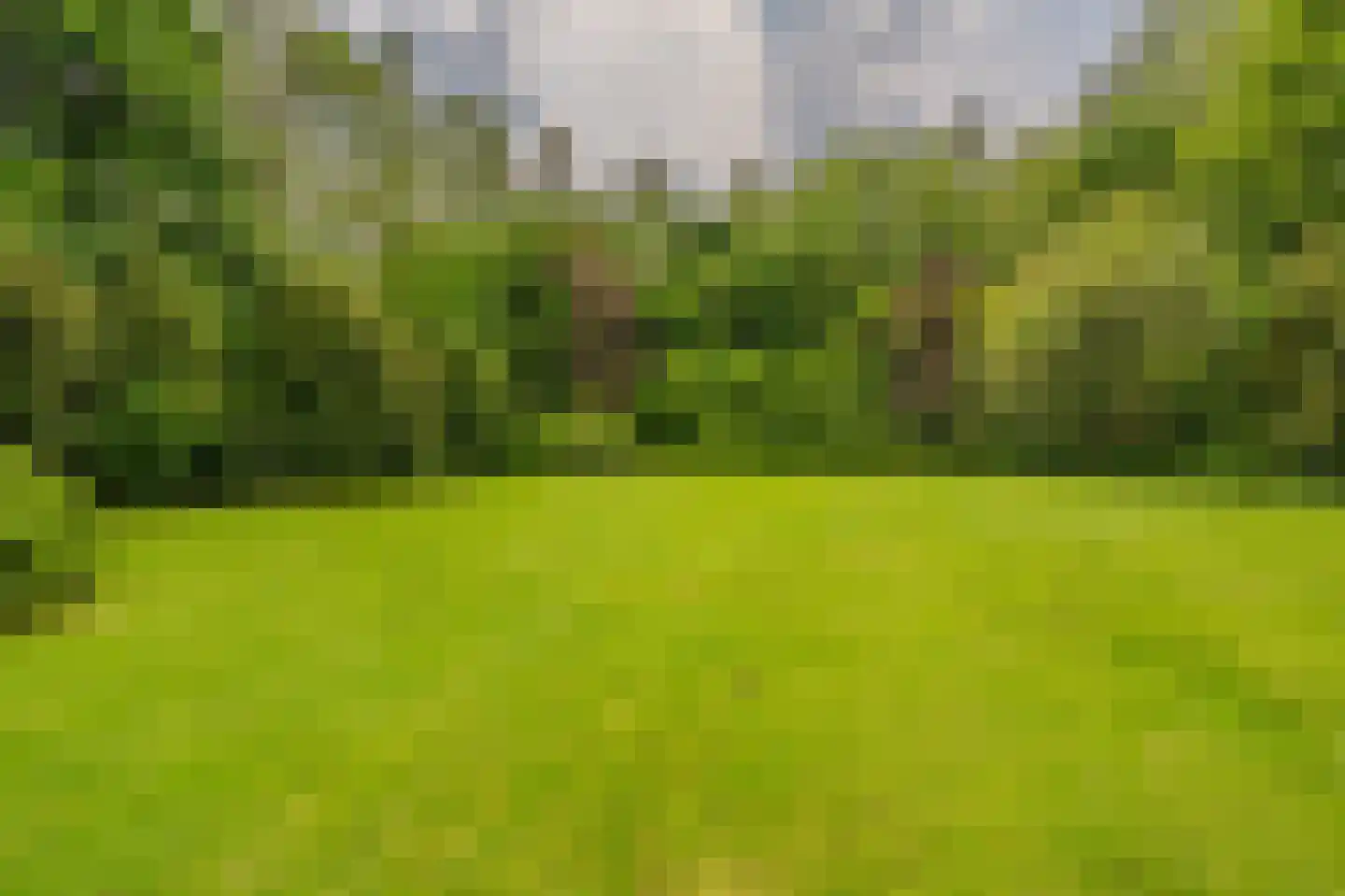 Tjabbesstreek 41 Blijham thumbnail 67