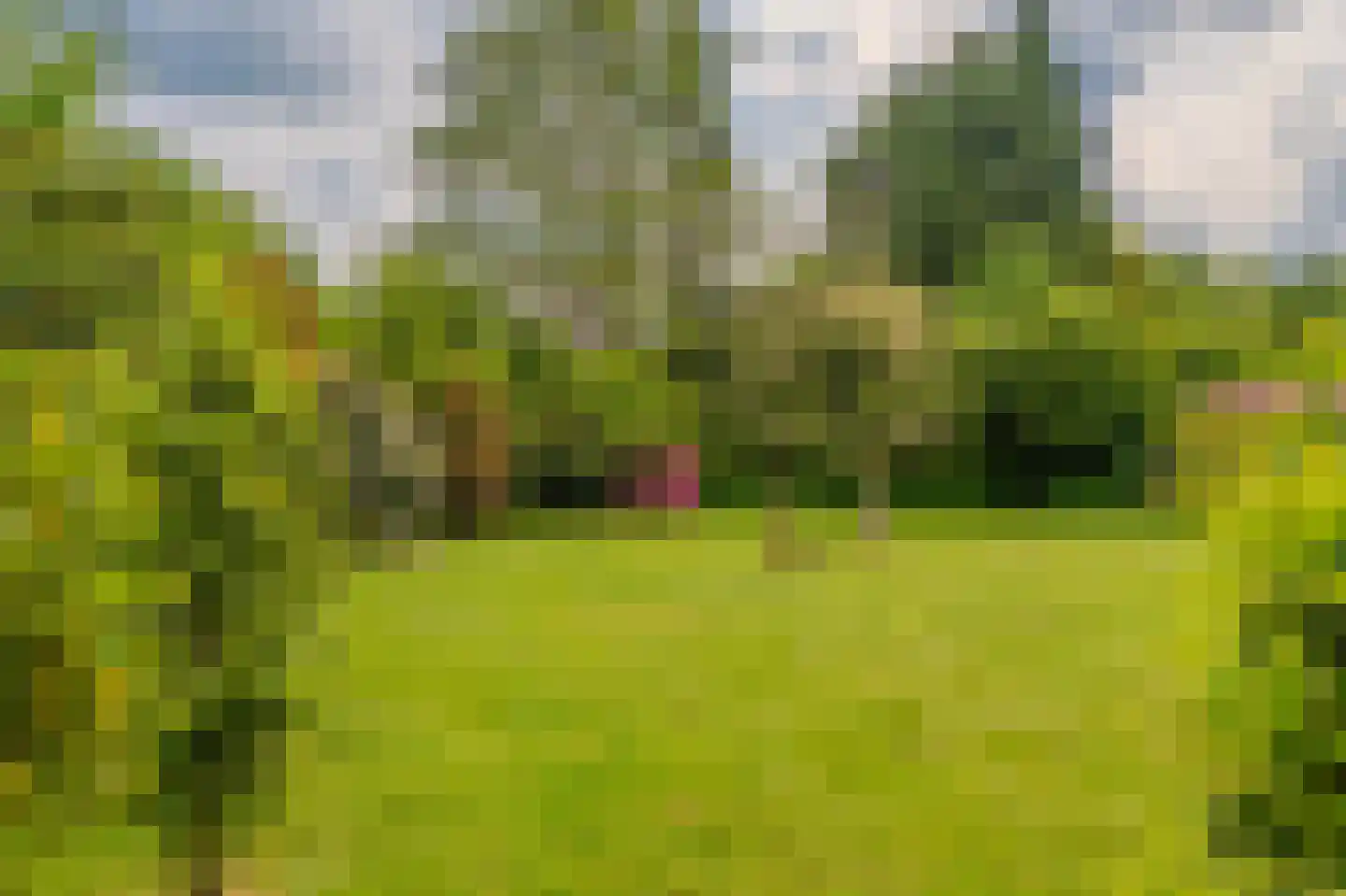 Tjabbesstreek 41 Blijham thumbnail 68