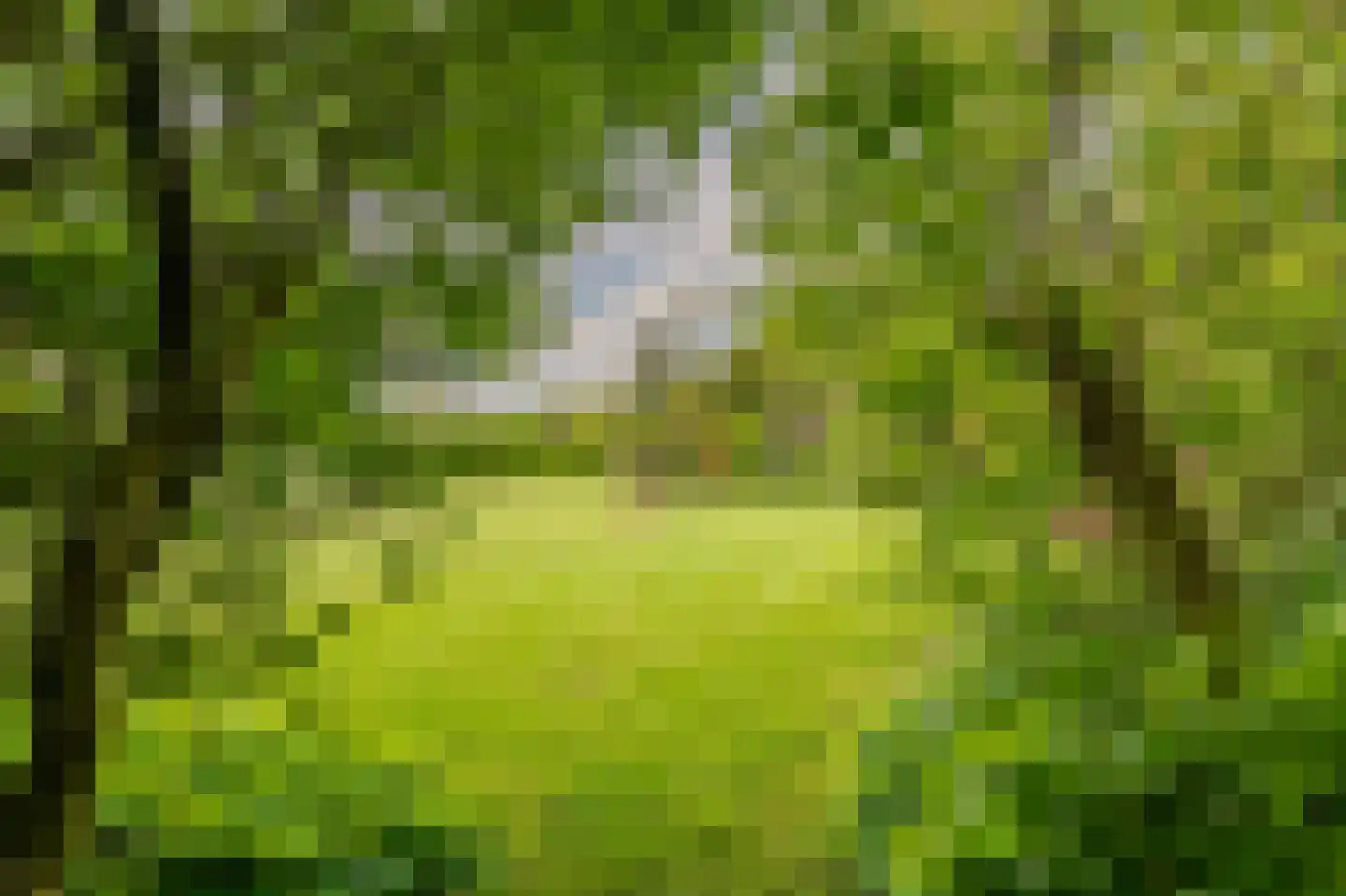 Tjabbesstreek 41 Blijham thumbnail 69