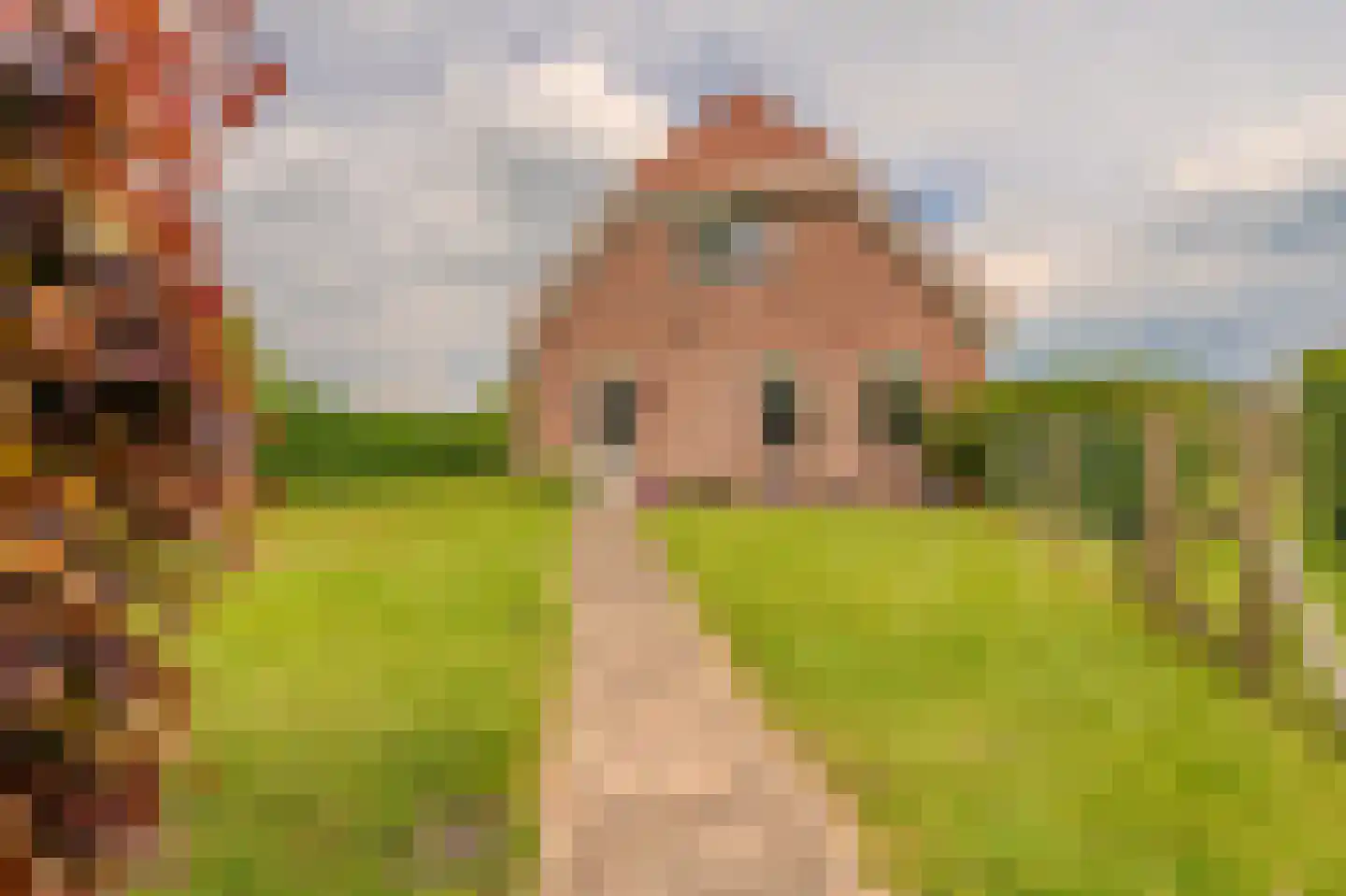 Tjabbesstreek 41 Blijham thumbnail 7