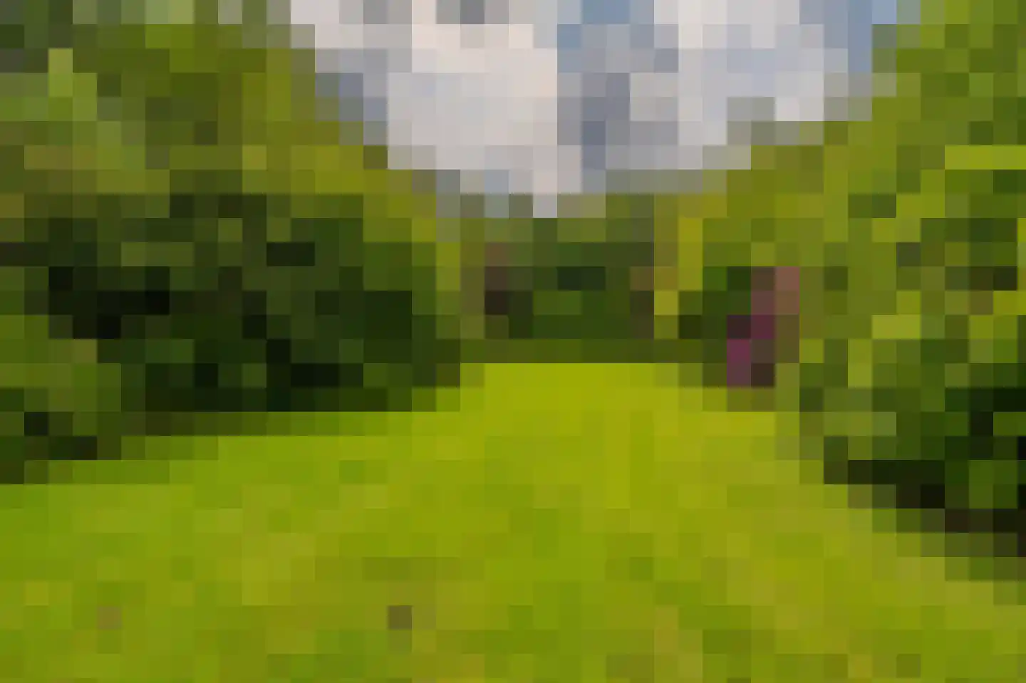 Tjabbesstreek 41 Blijham thumbnail 70