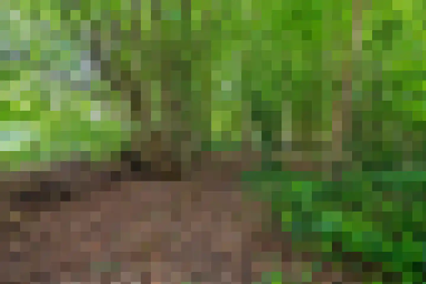 Tjabbesstreek 41 Blijham thumbnail 71