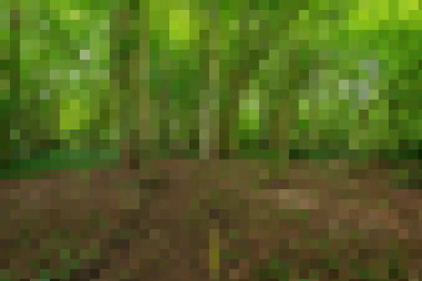 Tjabbesstreek 41 Blijham thumbnail 72