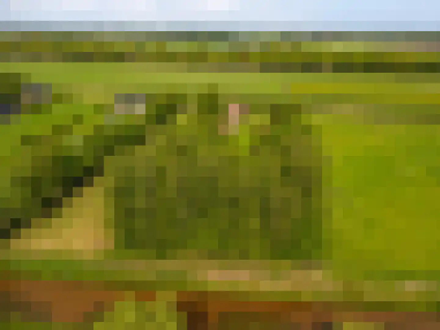Tjabbesstreek 41 Blijham thumbnail 74