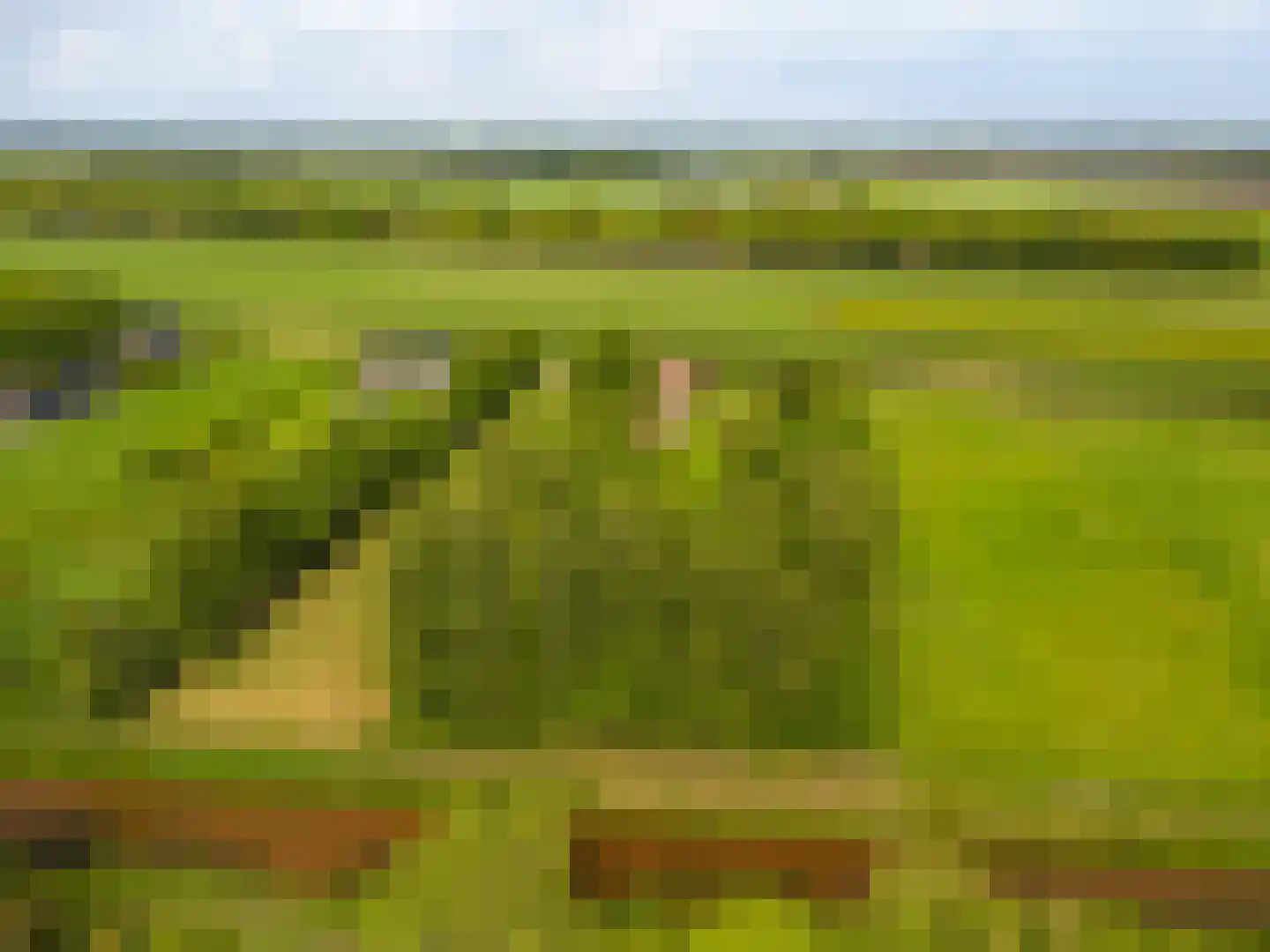 Tjabbesstreek 41 Blijham thumbnail 75
