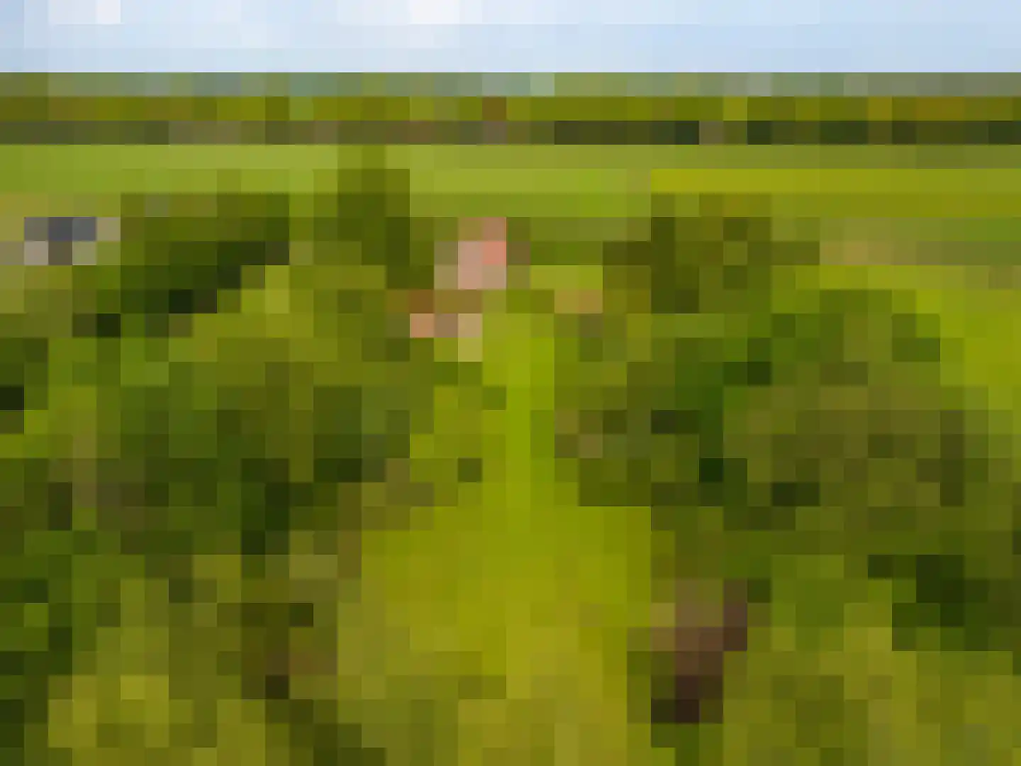 Tjabbesstreek 41 Blijham thumbnail 77