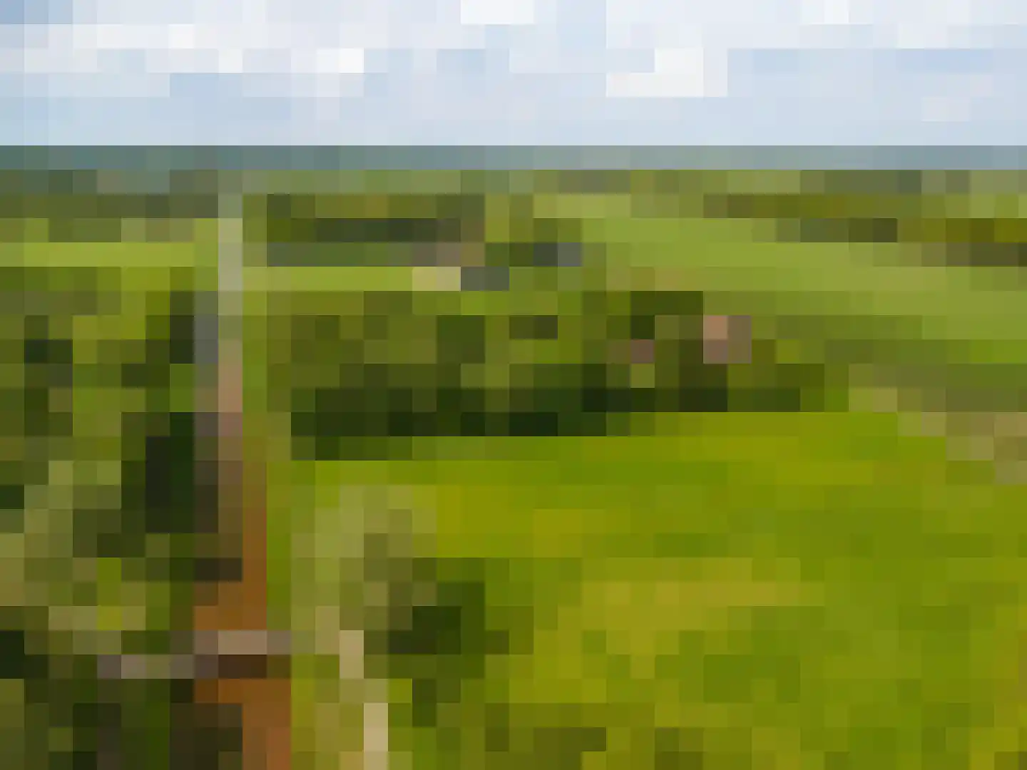Tjabbesstreek 41 Blijham thumbnail 78