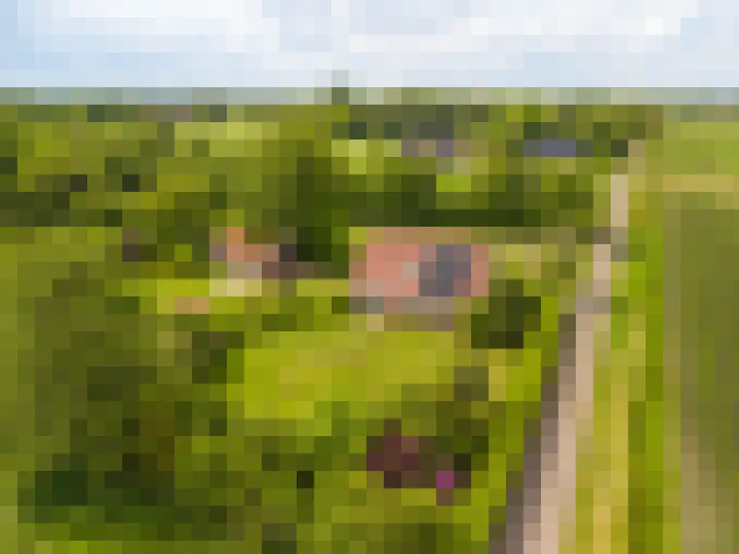 Tjabbesstreek 41 Blijham thumbnail 79