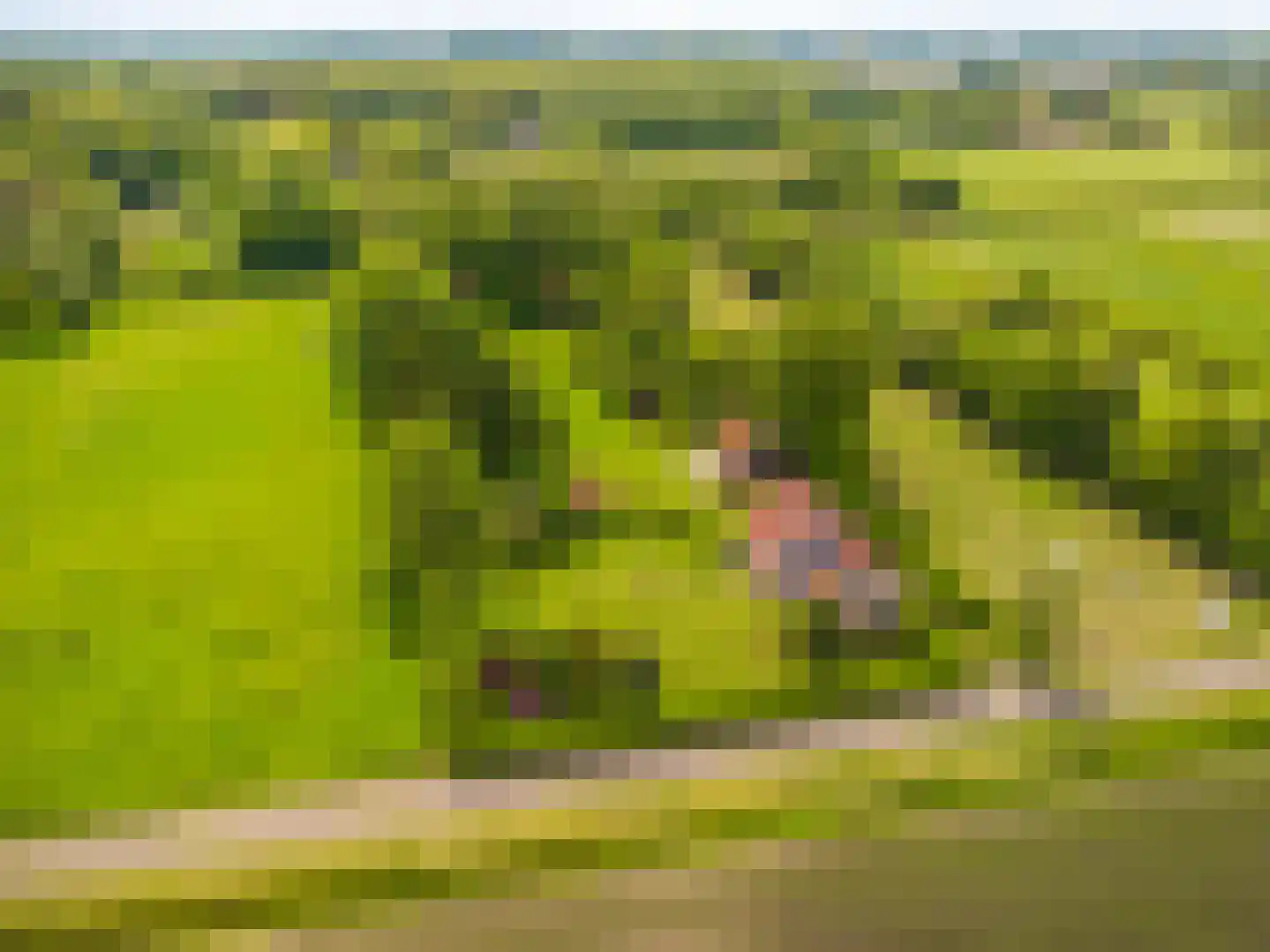 Tjabbesstreek 41 Blijham thumbnail 80
