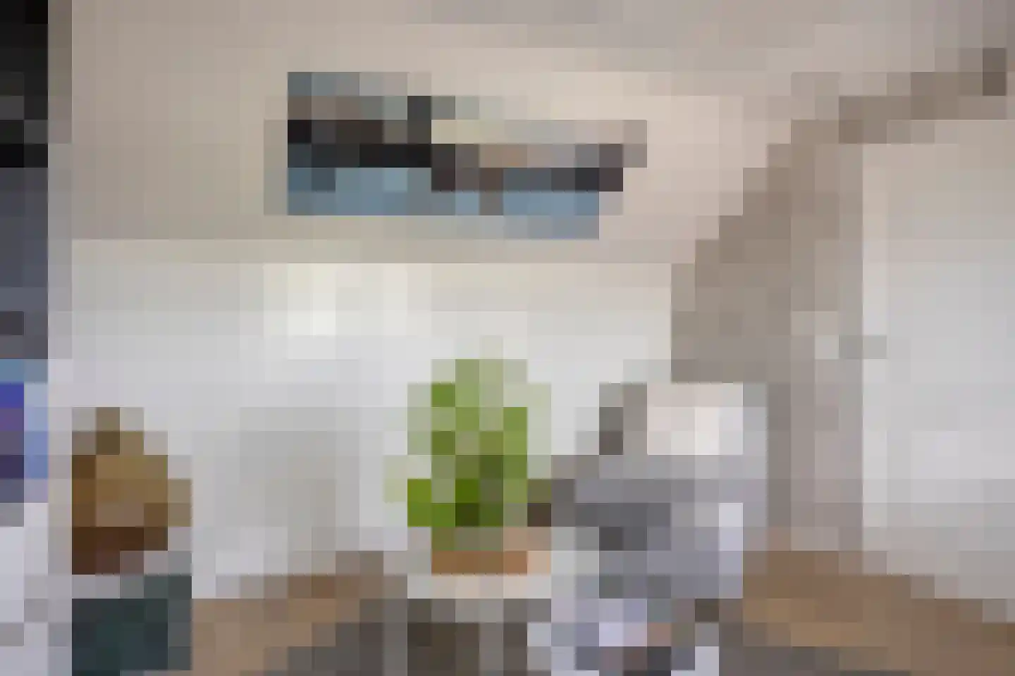 Tjadenweg 15 Wijdewormer thumbnail 24