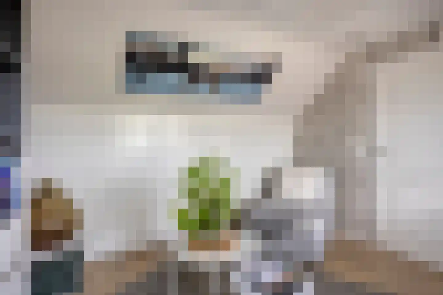 Tjadenweg 15 Wijdewormer thumbnail 25
