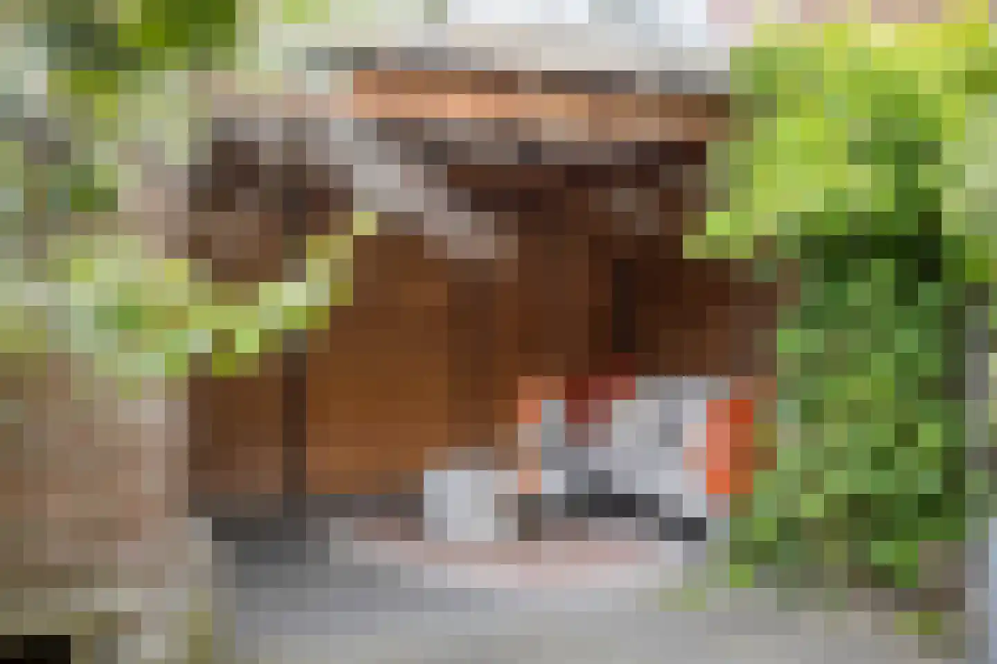 Tjadenweg 15 Wijdewormer thumbnail 28