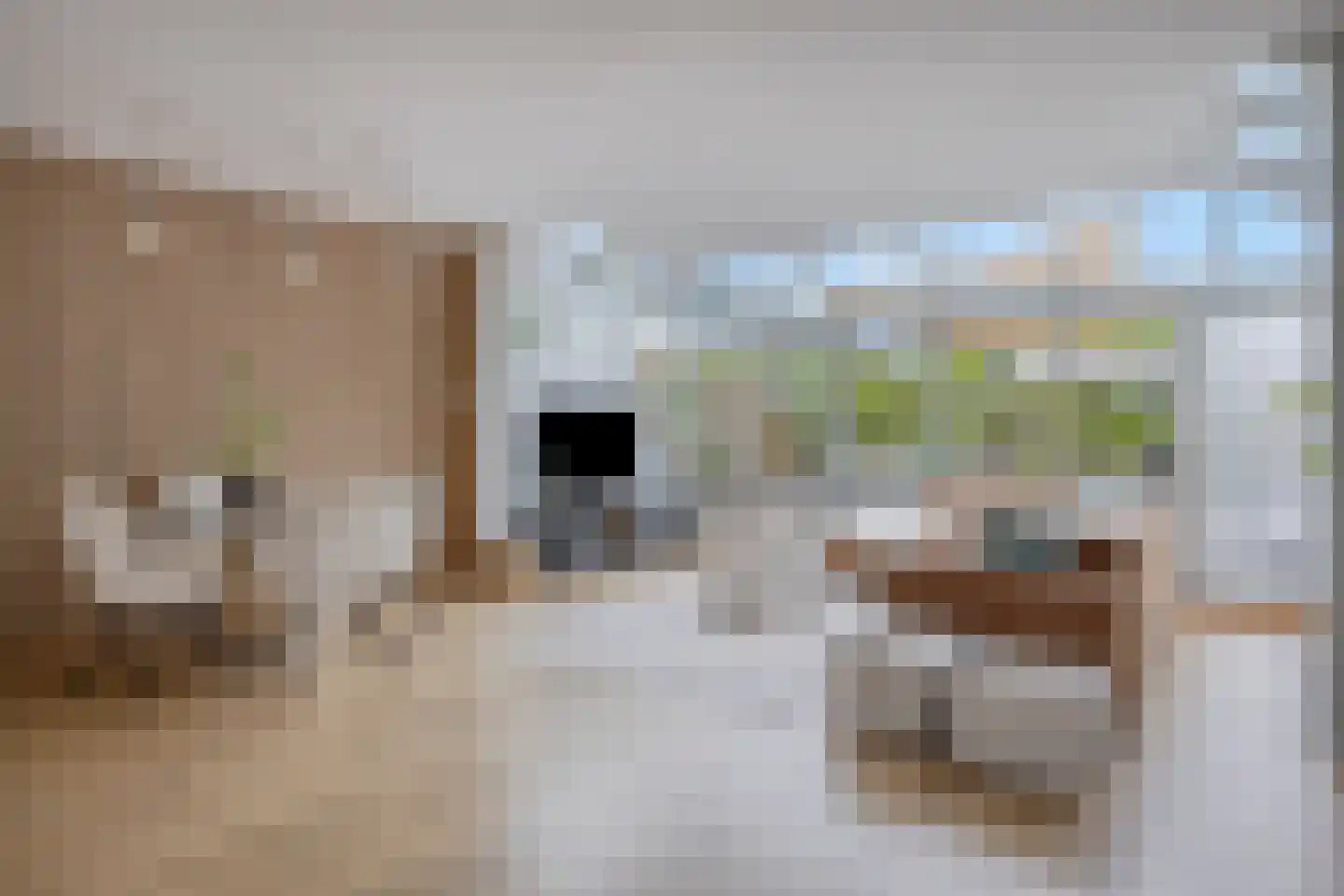 Tjadenweg 15 Wijdewormer thumbnail 7