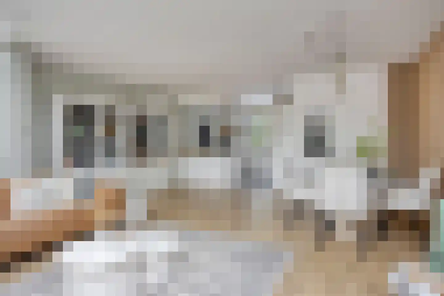 Tjadenweg 15 Wijdewormer thumbnail 8