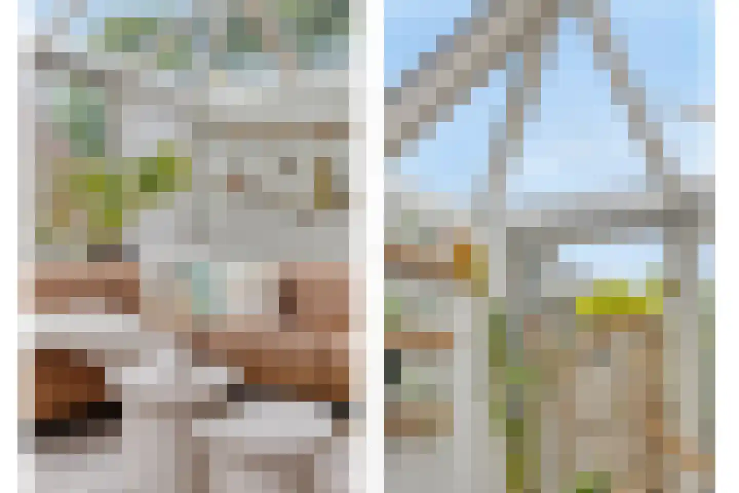 Tjadenweg 15 Wijdewormer thumbnail 9