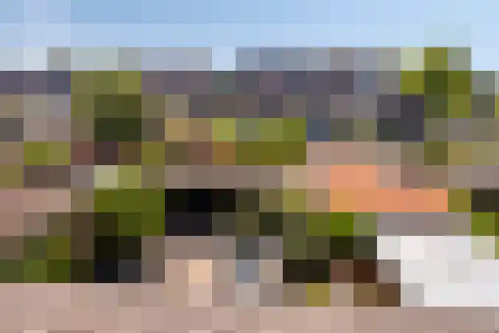 Tjadenweg 37 Wijdewormer thumbnail 31