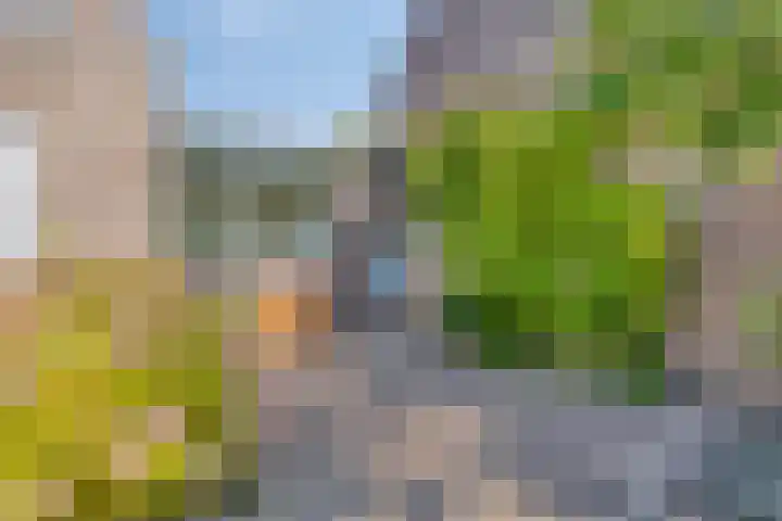 Tjadenweg 37 Wijdewormer thumbnail 34