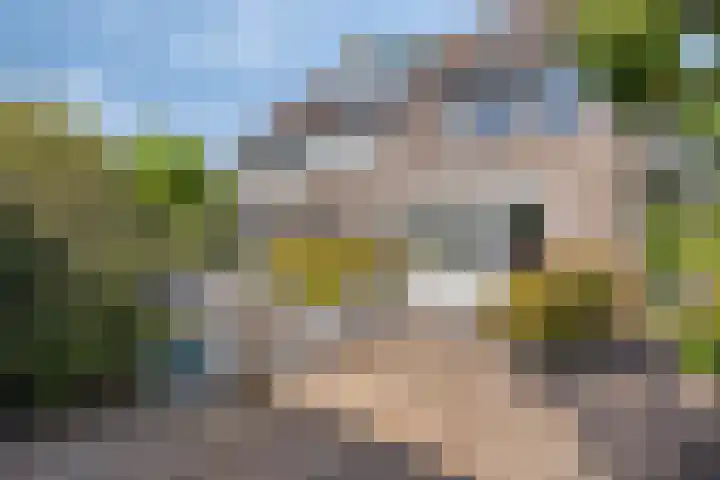 Tjadenweg 37 Wijdewormer thumbnail 35