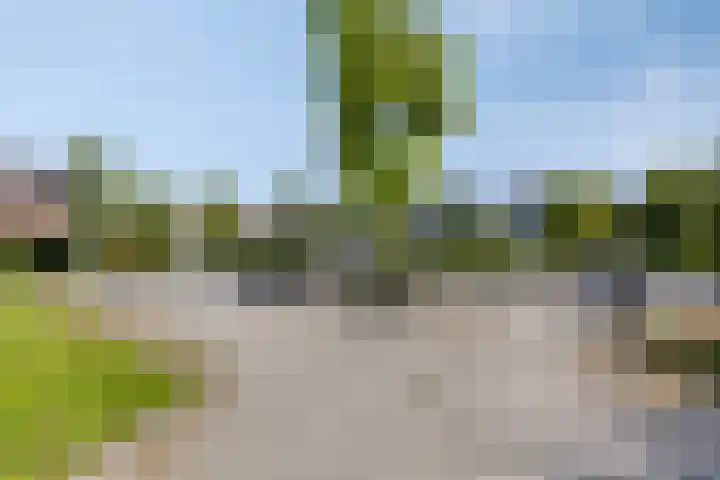 Tjadenweg 37 Wijdewormer thumbnail 40
