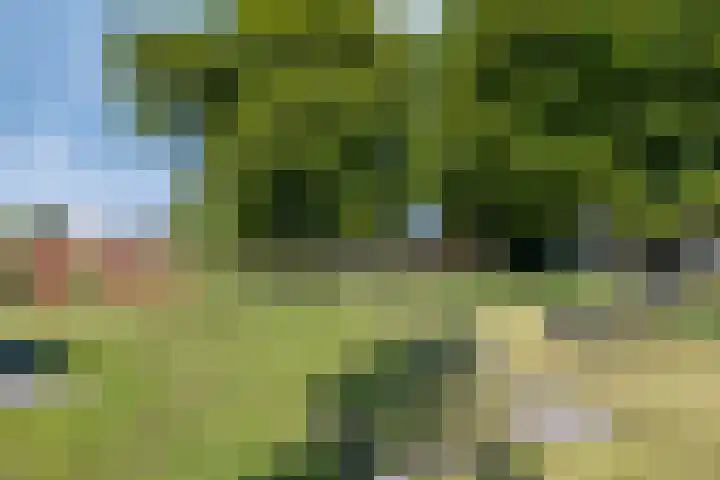 Tjadenweg 37 Wijdewormer thumbnail 41