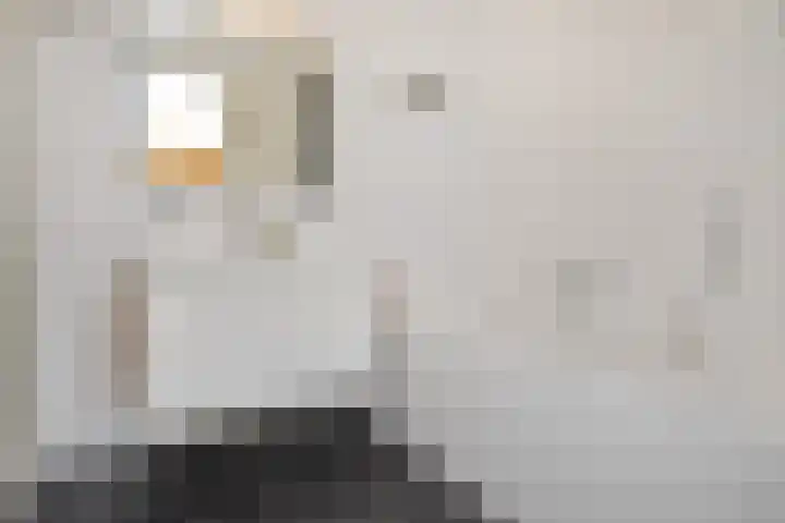 Tjalie Robinsonduin 106 Den Haag thumbnail 34