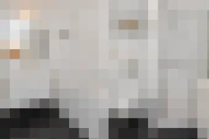 Tjalie Robinsonduin 106 Den Haag thumbnail 35
