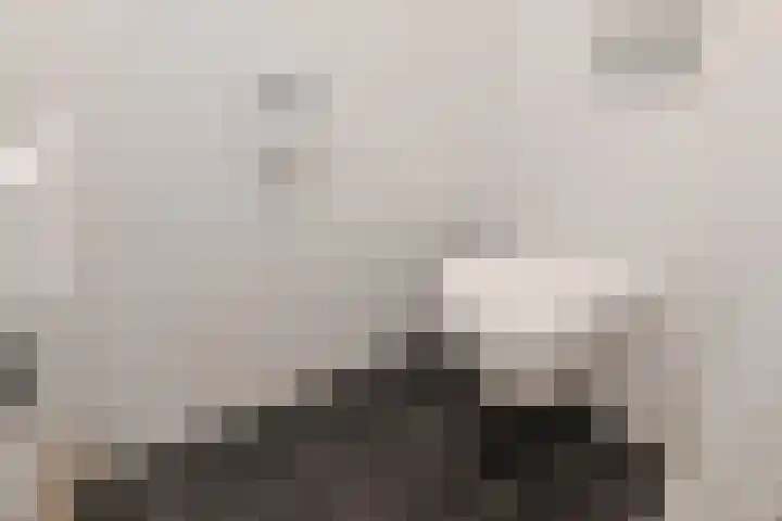 Tjalie Robinsonduin 106 Den Haag thumbnail 36
