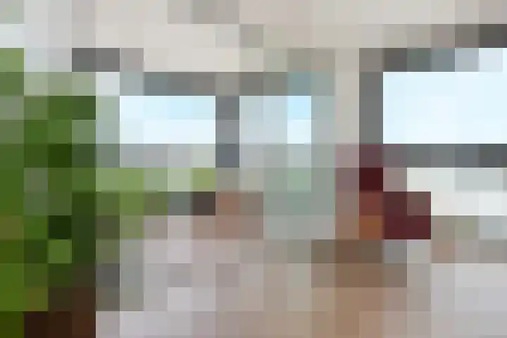 Tjalie Robinsonduin 109 Den Haag thumbnail 14