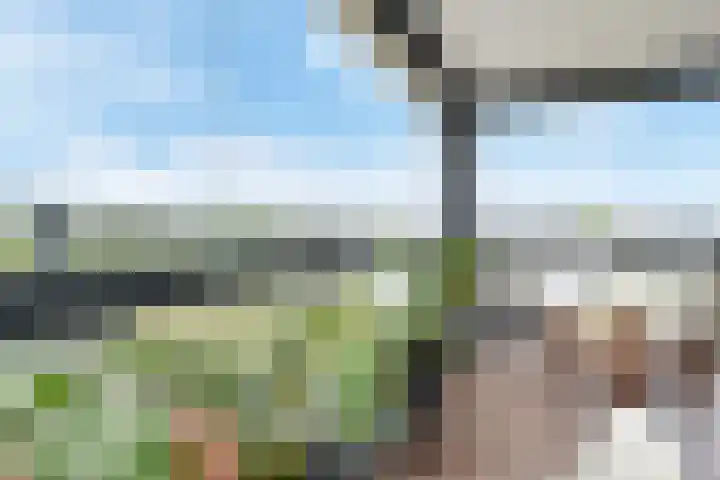 Tjalie Robinsonduin 109 Den Haag thumbnail 17