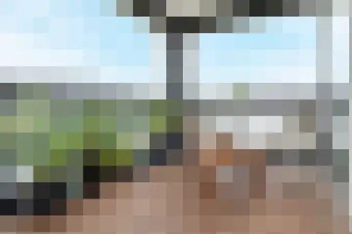Tjalie Robinsonduin 109 Den Haag thumbnail 18