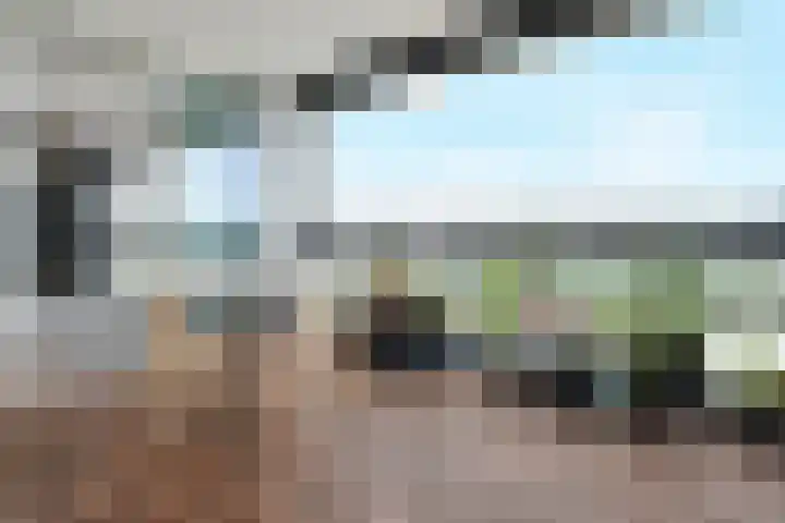 Tjalie Robinsonduin 109 Den Haag thumbnail 19