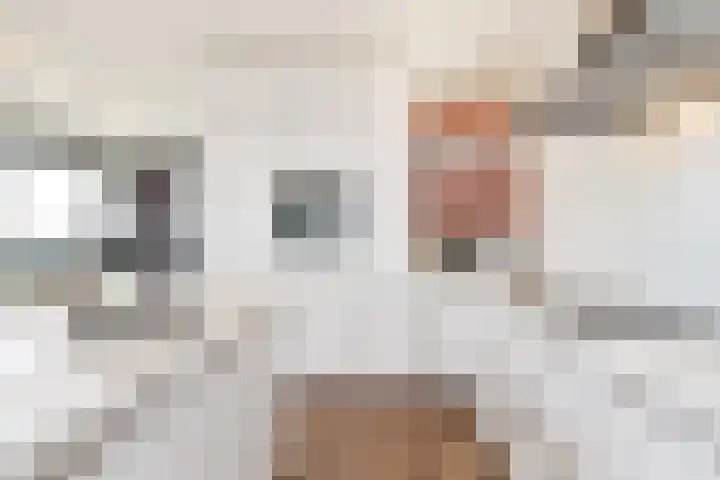 Tjalie Robinsonduin 109 Den Haag thumbnail 25