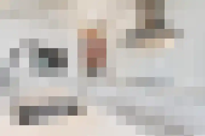 Tjalie Robinsonduin 109 Den Haag thumbnail 26