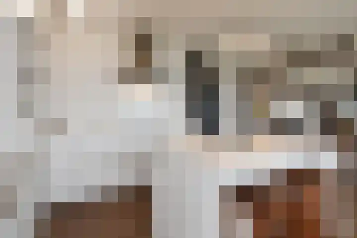 Tjalie Robinsonduin 109 Den Haag thumbnail 27