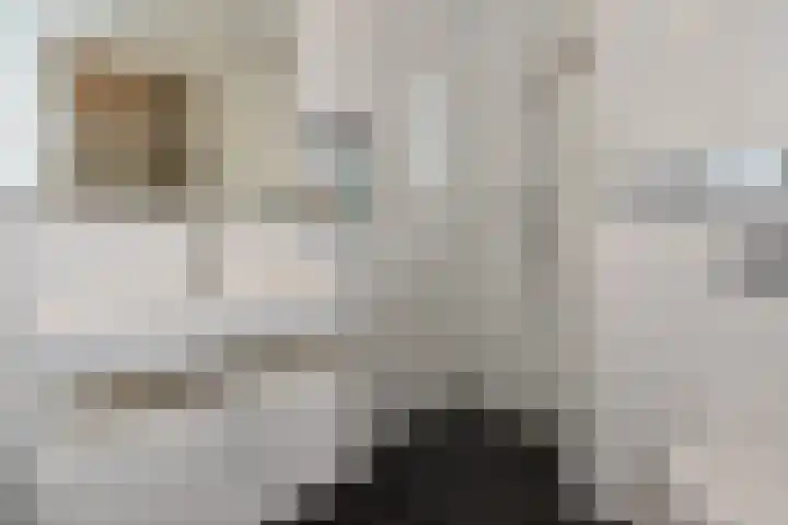 Tjalie Robinsonduin 109 Den Haag thumbnail 42