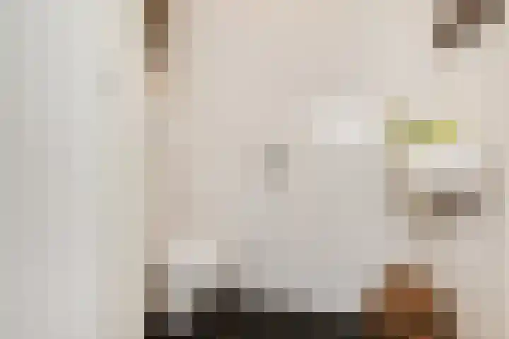 Tjalie Robinsonduin 109 Den Haag thumbnail 43