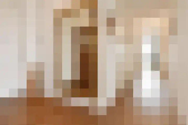 Tjalie Robinsonduin 109 Den Haag thumbnail 44