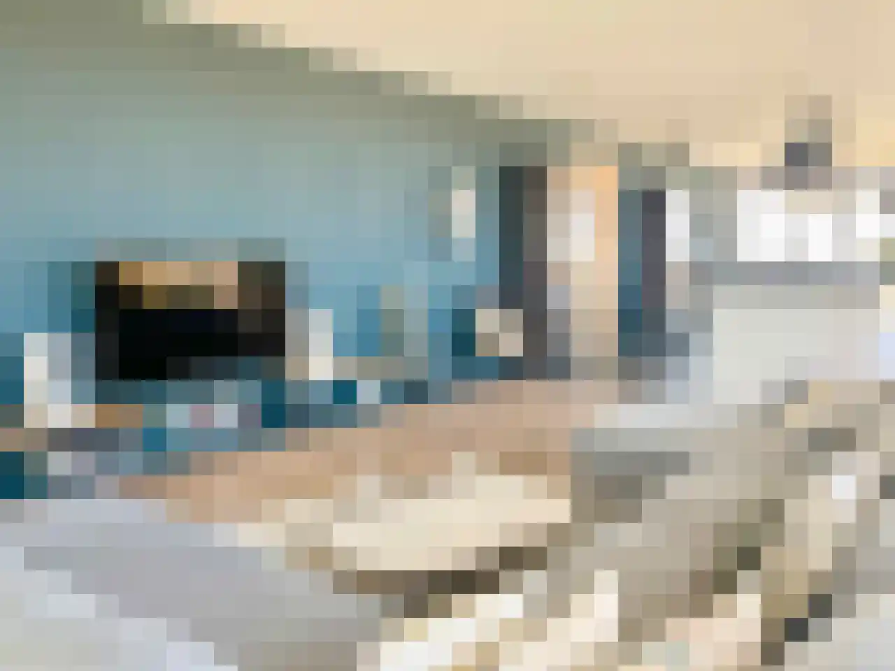 Tjalie Robinsonduin 17 Den Haag thumbnail 11