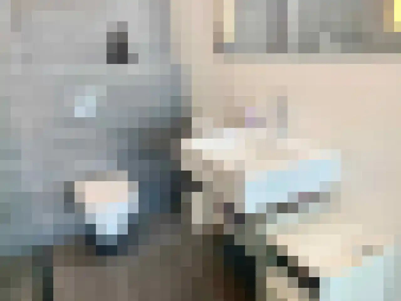 Tjalie Robinsonduin 17 Den Haag thumbnail 25