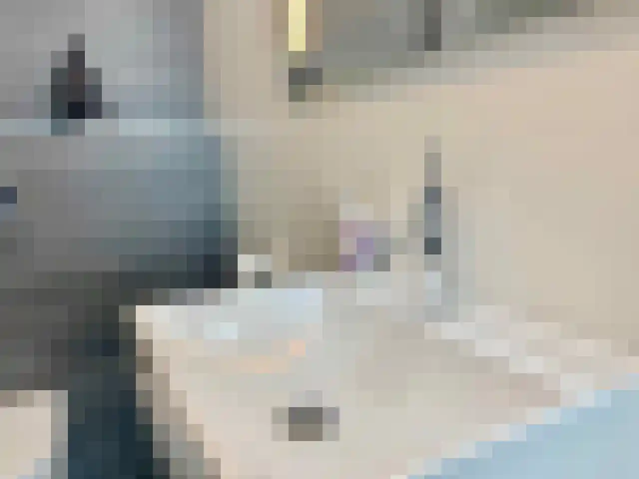 Tjalie Robinsonduin 17 Den Haag thumbnail 27