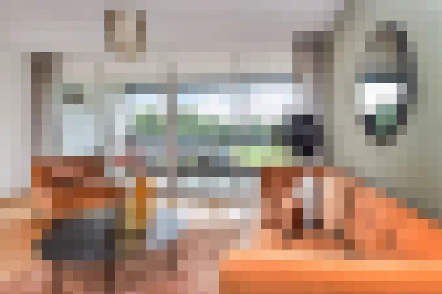 Tjalie Robinsonduin 24 Den Haag thumbnail 11